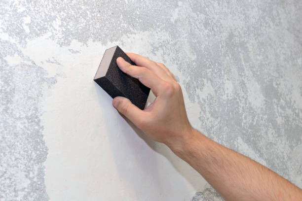 Best Mold Prevention Services  in Mountain Lodge Park, NY