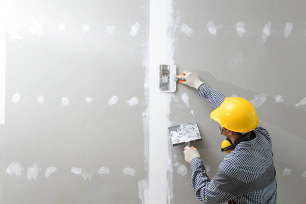  Mountain Lodge Park, NY Mold Removal Pros