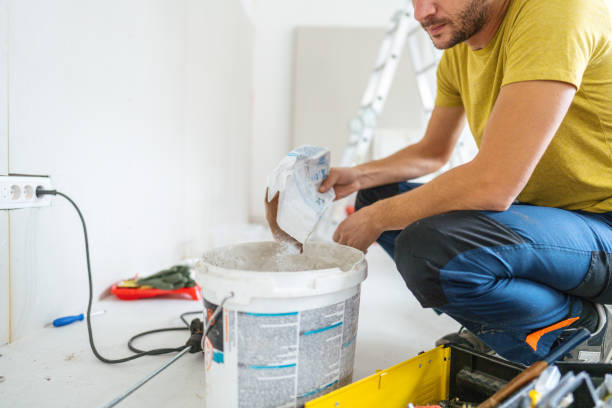 Professional Mold Removal in Mountain Lodge Park, NY