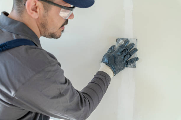 Best Emergency Mold Remediation  in Mountain Lodge Park, NY