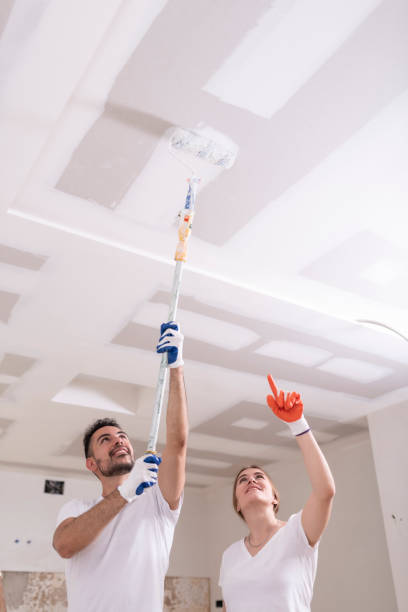 Best Industrial Mold Remediation  in Mountain Lodge Park, NY