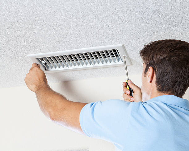 Mold Odor Removal Services in Mountain Lodge Park, NY