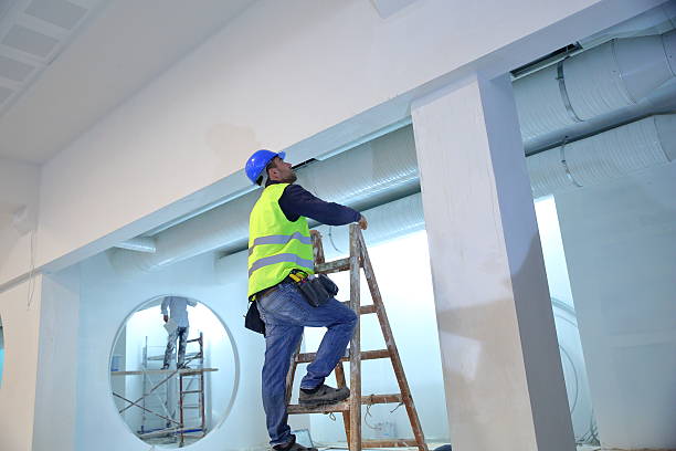 Best Mold Removal for HVAC Installations  in Mountain Lodge Park, NY